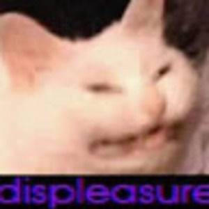 Meet your Posher, Bill